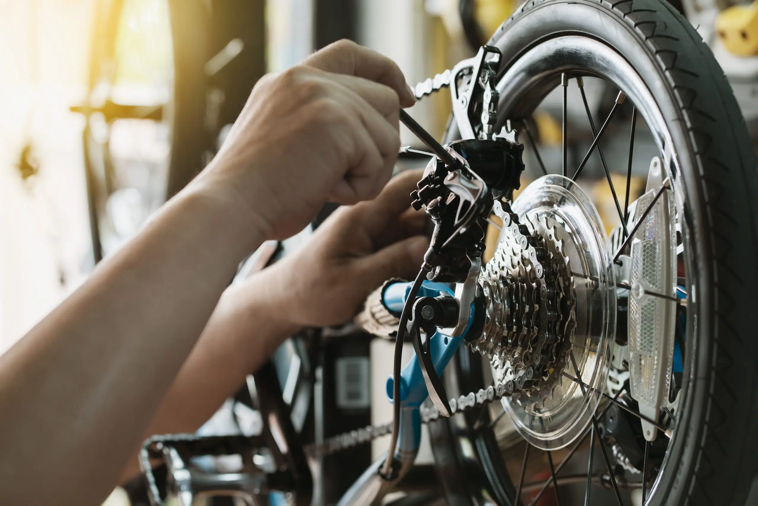 Comprehensive Bicycle Maintenance & Tune-Ups